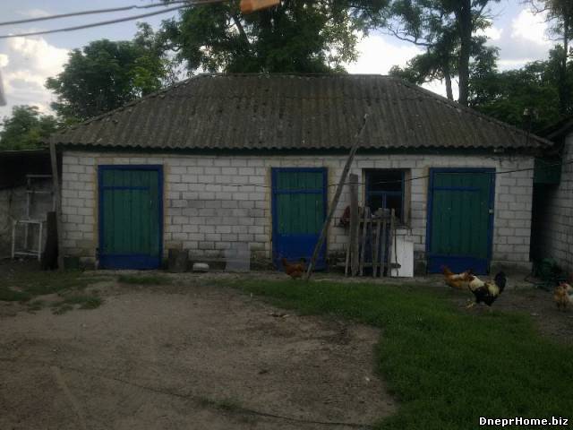 Продам дом в с.Андреевка Царичанского района - фото 3